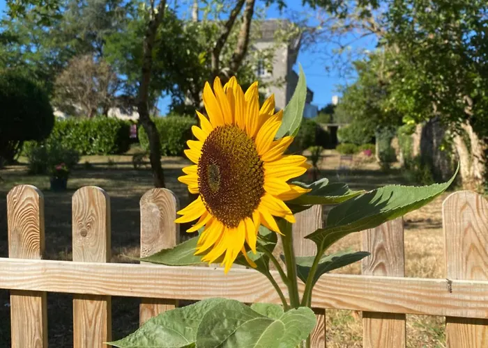La Brijopa Сasa de vacaciones *