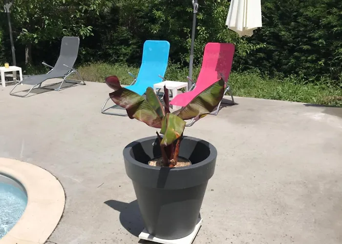 La Brijopa * Bazoges-en-Pareds